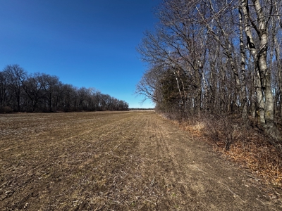 97.48± Acres of Tillable Land for Sale – Columbia County, WI - image 10