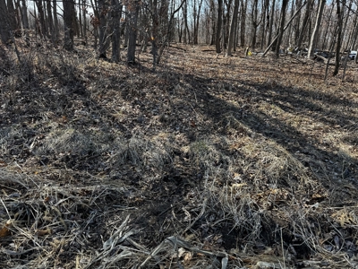 97.48± Acres of Tillable Land for Sale – Columbia County, WI - image 19