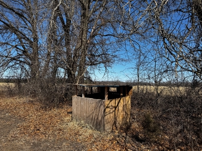 97.48± Acres of Tillable Land for Sale – Columbia County, WI - image 27