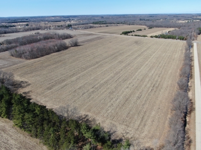 97.48± Acres of Tillable Land for Sale – Columbia County, WI - image 1
