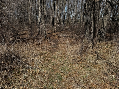 97.48± Acres of Tillable Land for Sale – Columbia County, WI - image 12