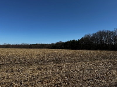 97.48± Acres of Tillable Land for Sale – Columbia County, WI - image 17