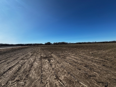 97.48± Acres of Tillable Land for Sale – Columbia County, WI - image 22
