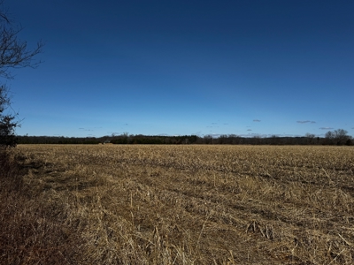 97.48± Acres of Tillable Land for Sale – Columbia County, WI - image 16