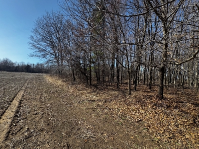 97.48± Acres of Tillable Land for Sale – Columbia County, WI - image 13
