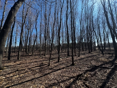 97.48± Acres of Tillable Land for Sale – Columbia County, WI - image 9
