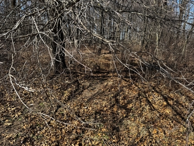 97.48± Acres of Tillable Land for Sale – Columbia County, WI - image 15