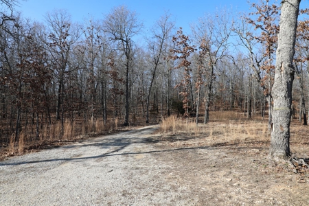 Unique Barndominium nestle on 4.79 wooded acres in West Plains, MO. for Sale - image 9