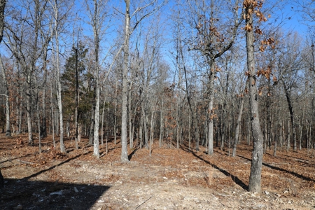 Unique Barndominium nestle on 4.79 wooded acres in West Plains, MO. for Sale - image 7