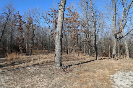 Unique Barndominium nestle on 4.79 wooded acres in West Plains, MO. for Sale - image 6