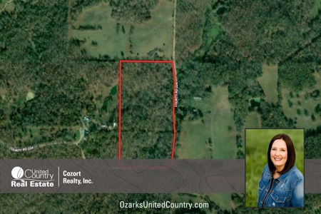 Land For Sale in the Oregon County Ozarks - image 2