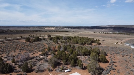 Glade Park Land for sale with no HOA - image 1