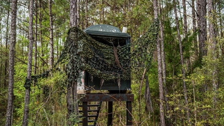 Affordable Property in Woodville, MS - image 30
