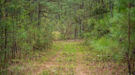 Affordable Property in Woodville, MS - image 38