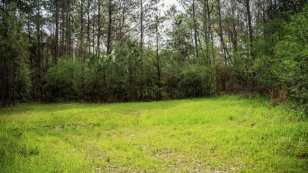 Affordable Property in Woodville, MS - image 17