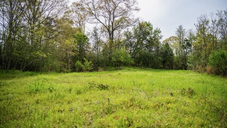 Affordable Property in Woodville, MS - image 1