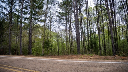 Affordable Property in Woodville, MS - image 45