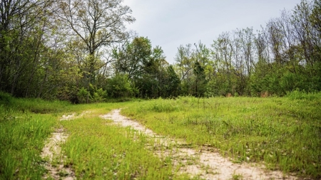 Affordable Property in Woodville, MS - image 15