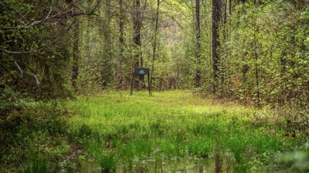 Affordable Property in Woodville, MS - image 22