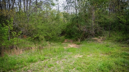 Affordable Property in Woodville, MS - image 43