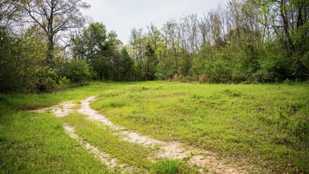 Affordable Property in Woodville, MS - image 13