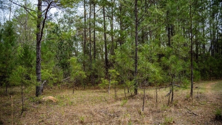 Affordable Property in Woodville, MS - image 37