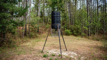 Affordable Property in Woodville, MS - image 33