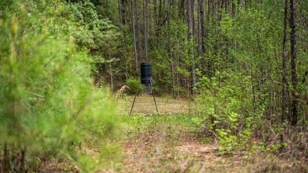 Affordable Property in Woodville, MS - image 32
