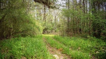 Affordable Property in Woodville, MS - image 18
