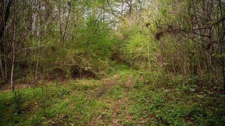Affordable Property in Woodville, MS - image 20