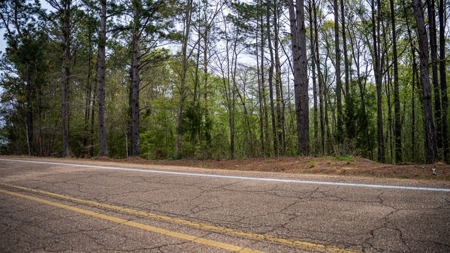 Affordable Property in Woodville, MS - image 46