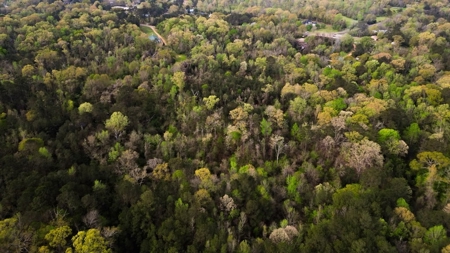 Affordable Property in Woodville, MS - image 7