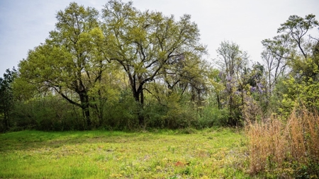 Affordable Property in Woodville, MS - image 11