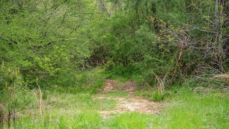 Affordable Property in Woodville, MS - image 44