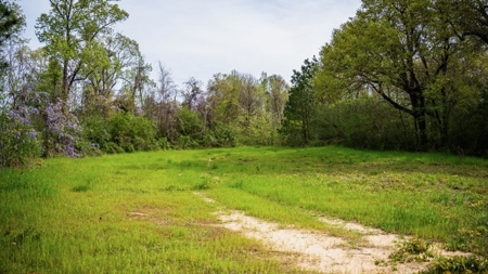 Affordable Property in Woodville, MS - image 9