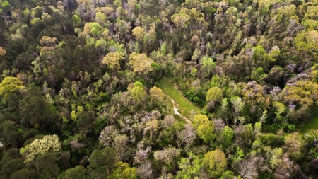 Affordable Property in Woodville, MS - image 8