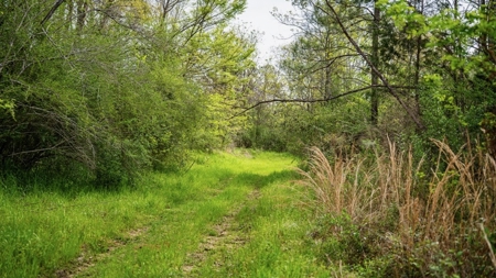 Affordable Property in Woodville, MS - image 12