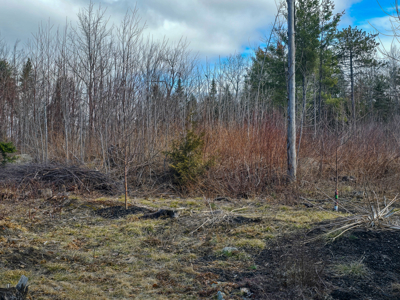 11.5 Acre Wooded Recreational Land - image 12