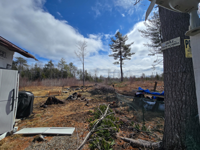 11.5 Acre Wooded Recreational Land - image 4