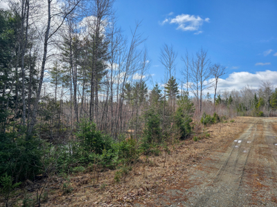 11.5 Acre Wooded Recreational Land - image 13