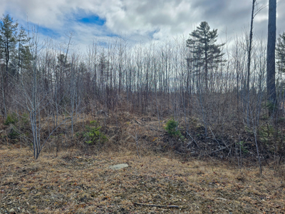 11.5 Acre Wooded Recreational Land - image 9
