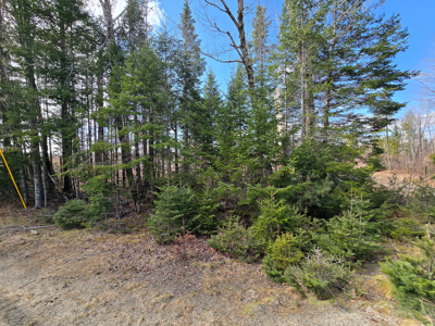 11.5 Acre Wooded Recreational Land - image 15