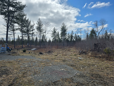 11.5 Acre Wooded Recreational Land - image 11