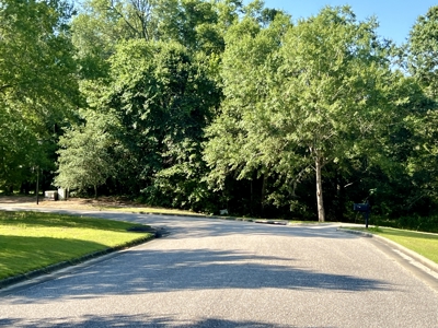 3.3 acre lot for sale Ashford Alabama - Lake frontage - Homesite Thornberry Place - image 2