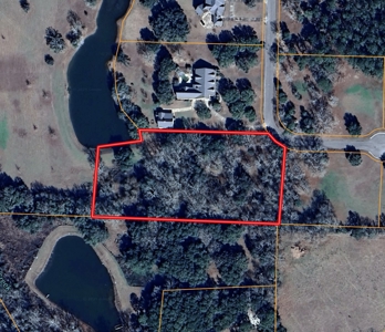 3.3 acre lot for sale Ashford Alabama - Lake frontage - Homesite Thornberry Place - image 3