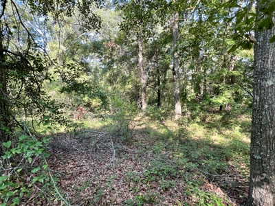 3.3 acre lot for sale Ashford Alabama - Lake frontage - Homesite Thornberry Place - image 6