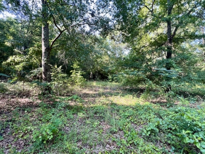 3.3 acre lot for sale Ashford Alabama - Lake frontage - Homesite Thornberry Place - image 7
