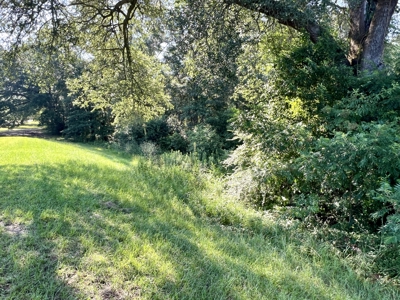 3.3 acre lot for sale Ashford Alabama - Lake frontage - Homesite Thornberry Place - image 9