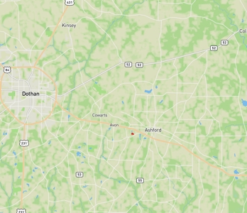 3.3 acre lot for sale Ashford Alabama - Lake frontage - Homesite Thornberry Place - image 10