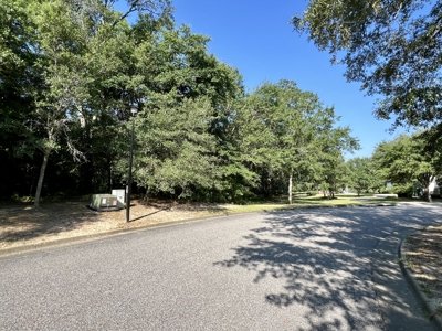 3.3 acre lot for sale Ashford Alabama - Lake frontage - Homesite Thornberry Place - image 4